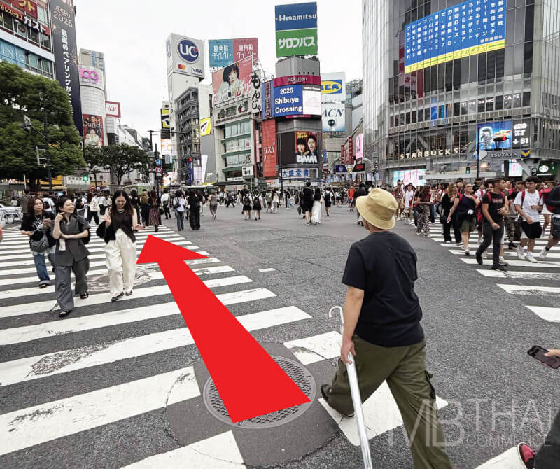 横断歩道を渡ってください。