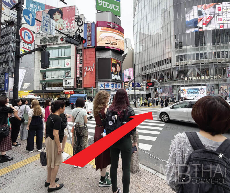 横断歩道を渡って、右に曲がって、進んでください。